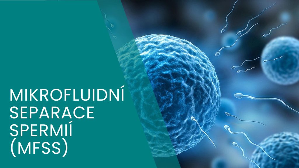 Mikrofluidní separace spermií, jedna z dopňkových metod pro selekci spermií