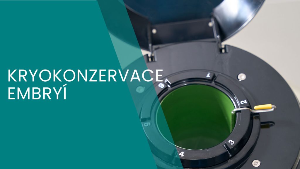 Kryokonzervace embryí - komplexní průvodce